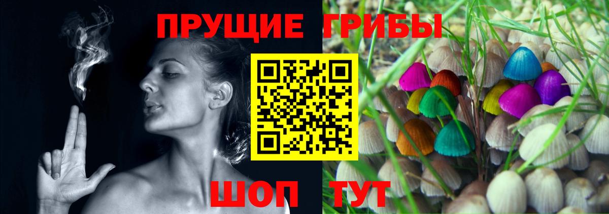 Соль-Илецк  где продают   Вход с VPN  Псилоцибиновые грибы MAGIC MUSHROOMS 