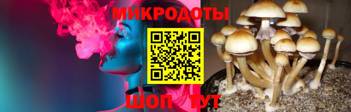 Галлюциногенные грибы GOLDEN TEACHER Соль-Илецк